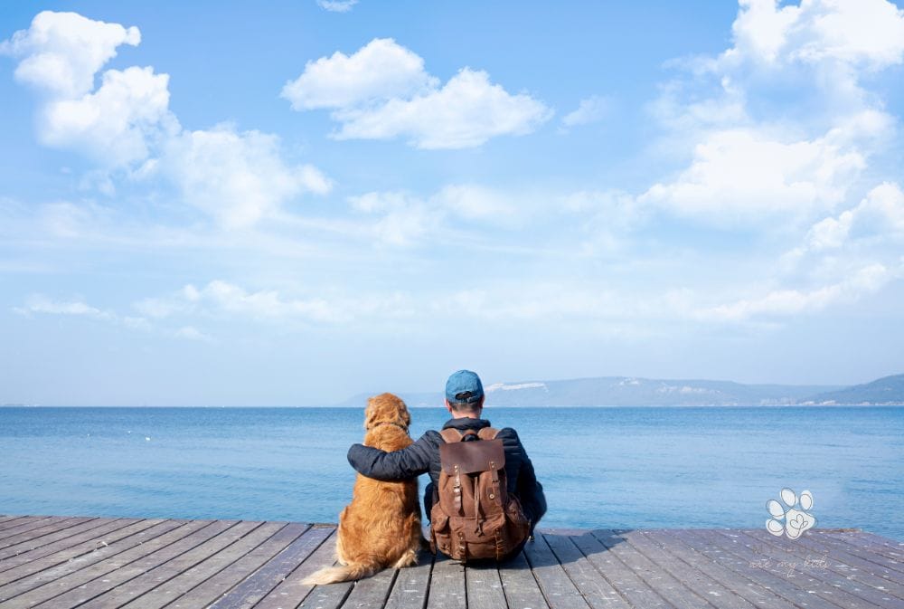 man with his arm around a dog as they look out over a lake while sitting on a dock