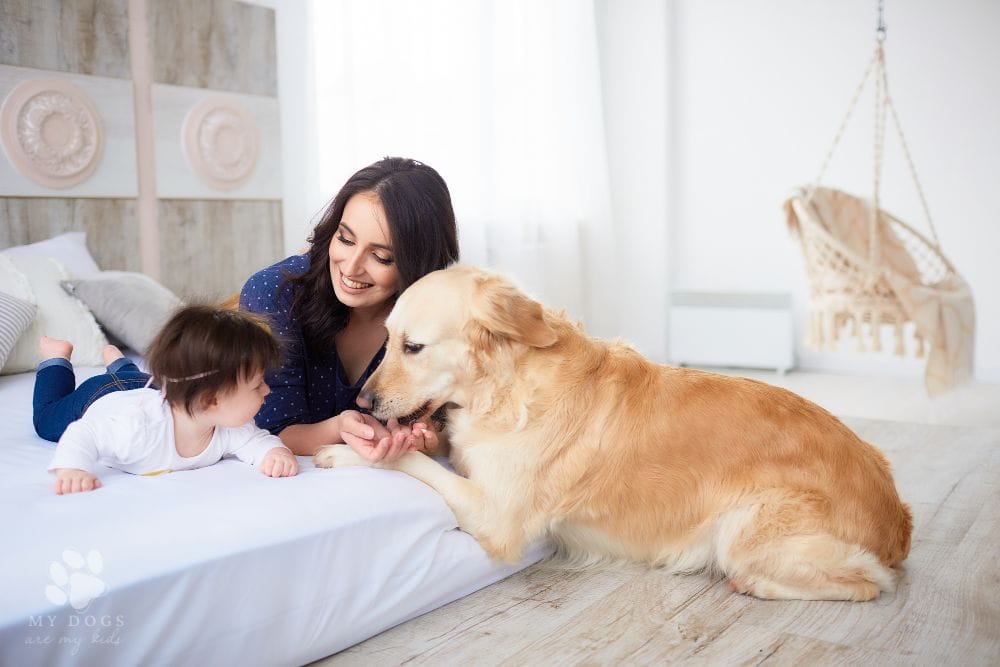 mother with infant daughter lie on the bed and dog looking at them