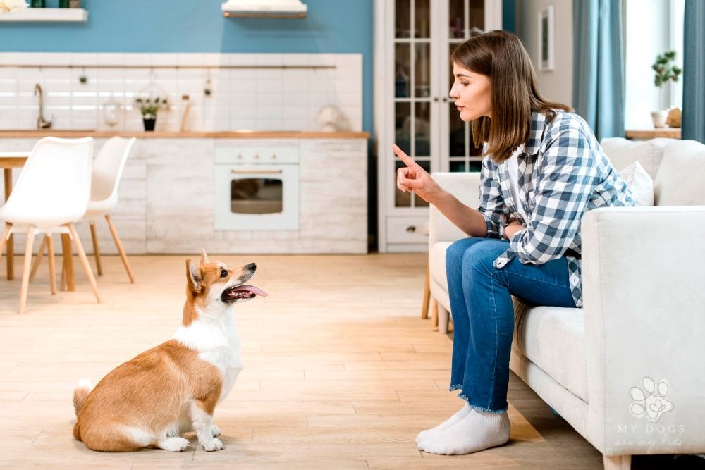 Side view of woman on the couch training her dog