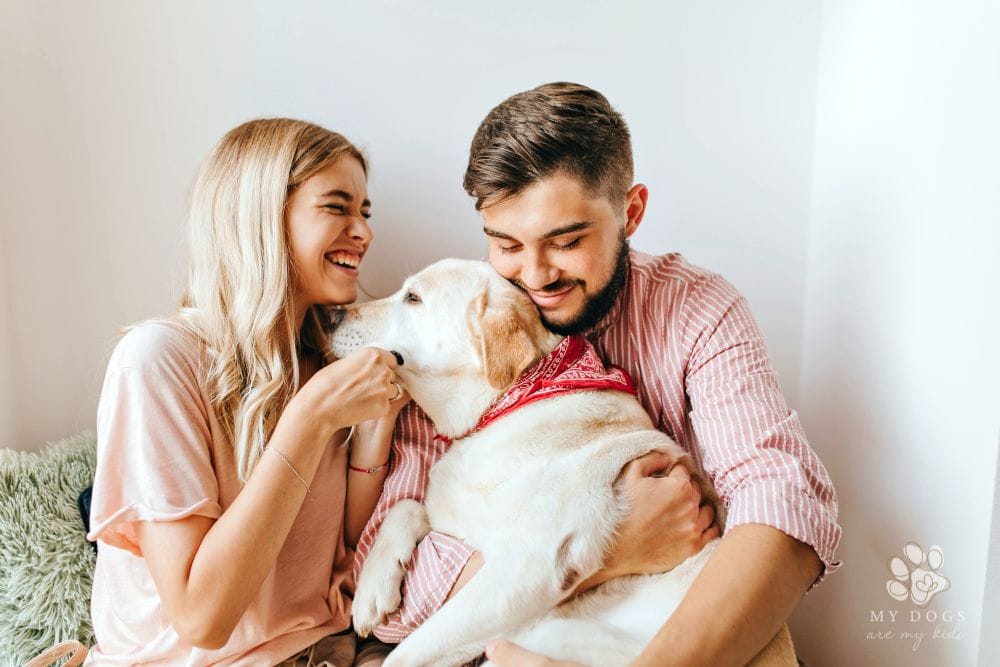 woman shirt laughs wholeheartedly and looks at her dark-haired man hugging their Labrador dog with red bandana on