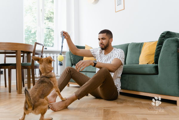 Fun and Creative Ways to Get Your Dog Moving Indoors