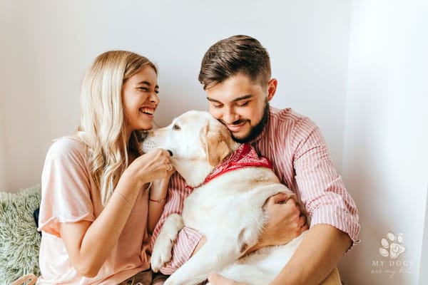 woman shirt laughs wholeheartedly and looks at her dark-haired man hugging their Labrador dog with red bandana on
